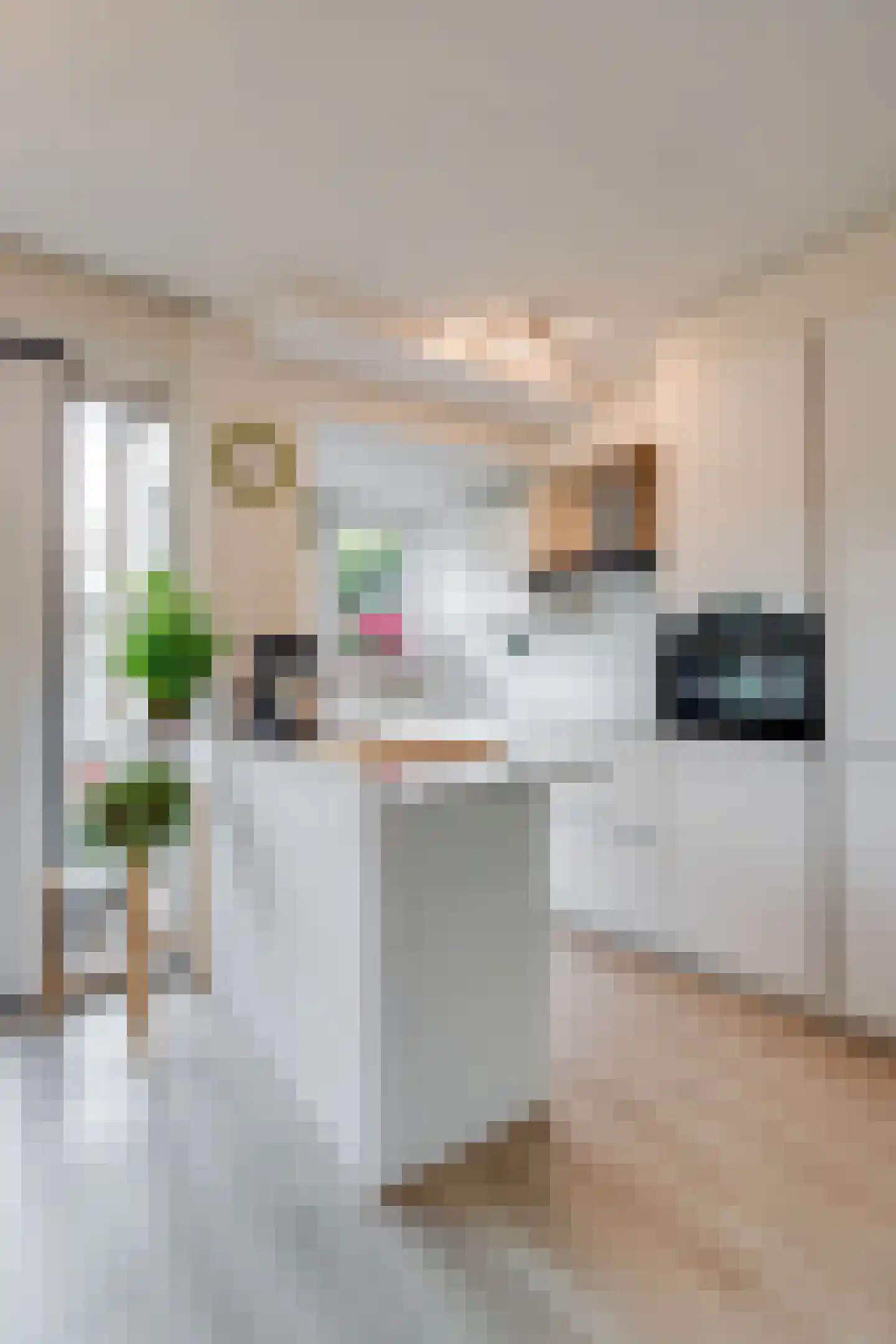 Albergerbos 120 Hoofddorp thumbnail 16