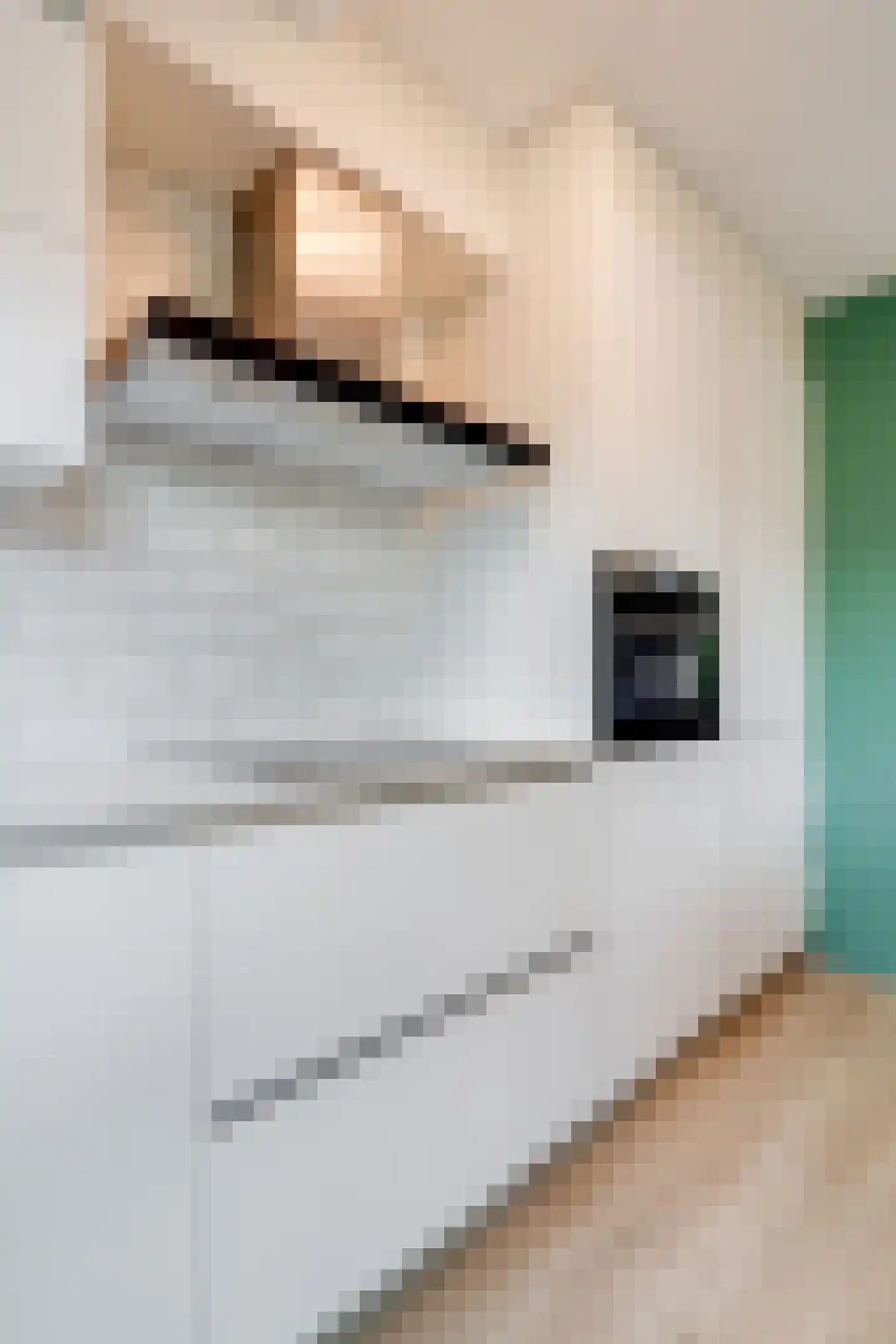 Albergerbos 120 Hoofddorp thumbnail 17