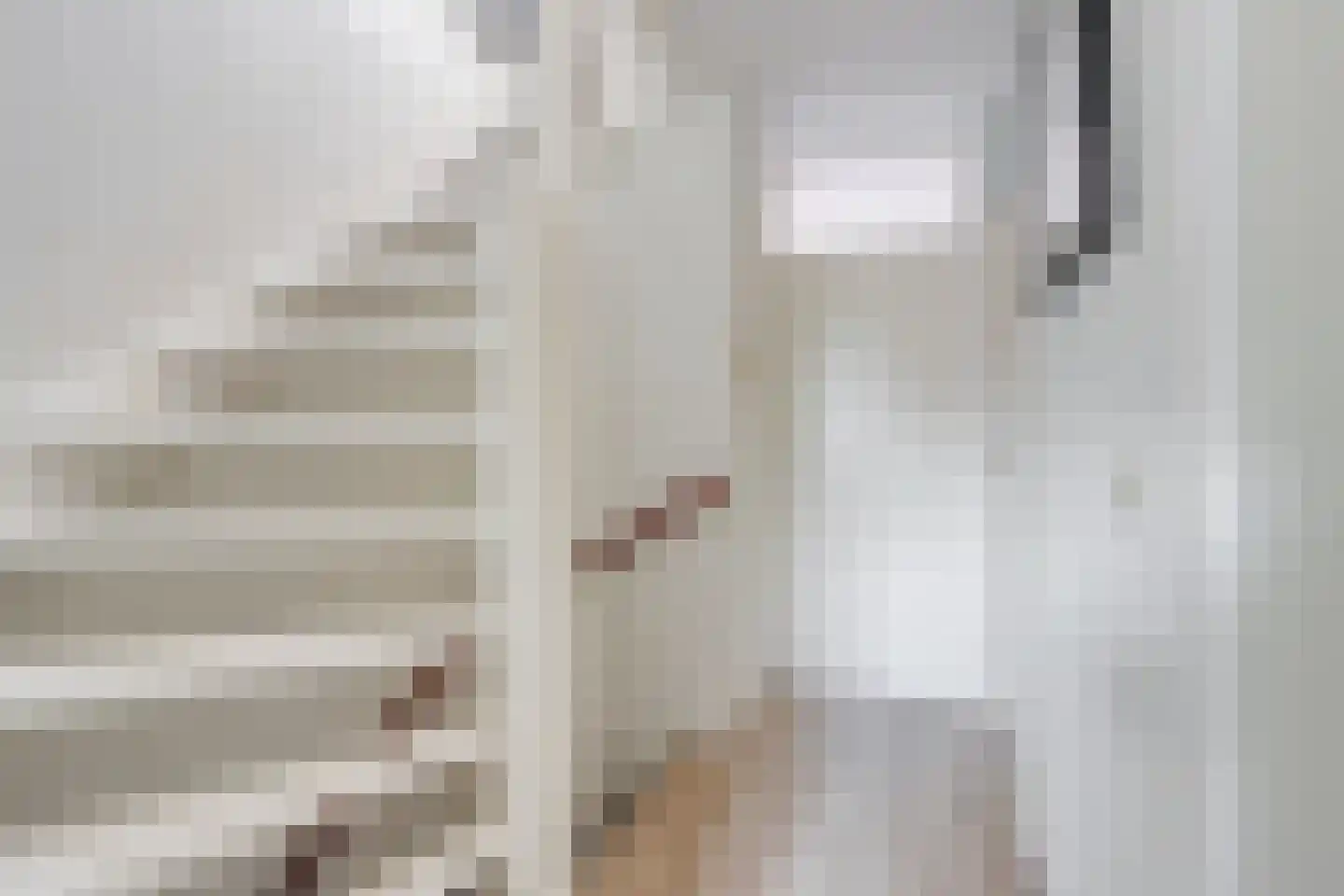 Albergerbos 120 Hoofddorp thumbnail 19