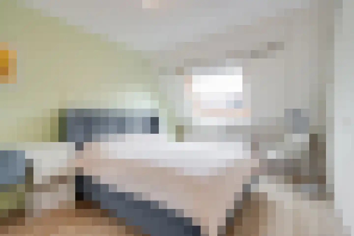 Albergerbos 120 Hoofddorp thumbnail 20