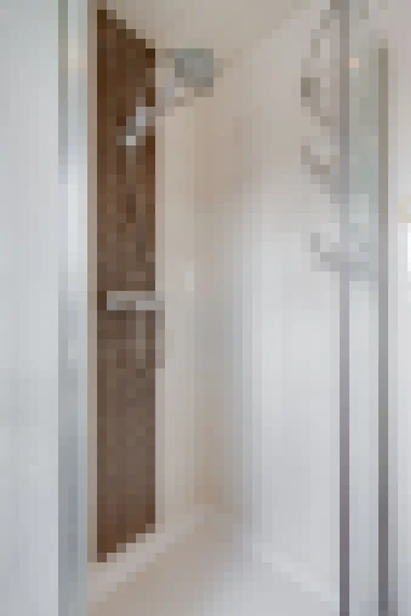 Albergerbos 120 Hoofddorp thumbnail 29
