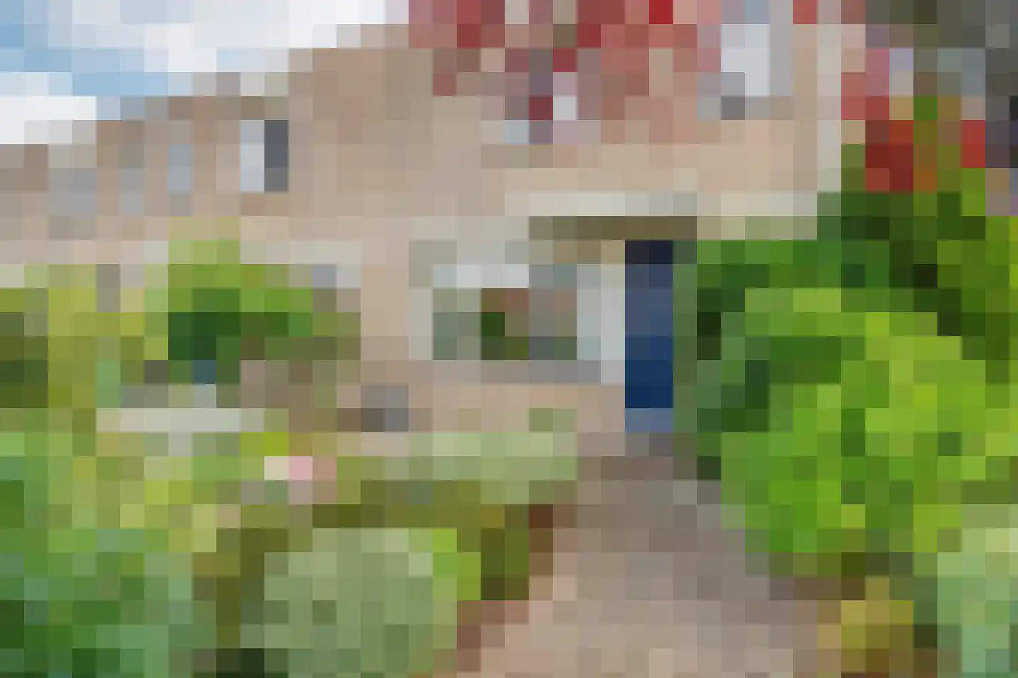 Albergerbos 120 Hoofddorp foto 3