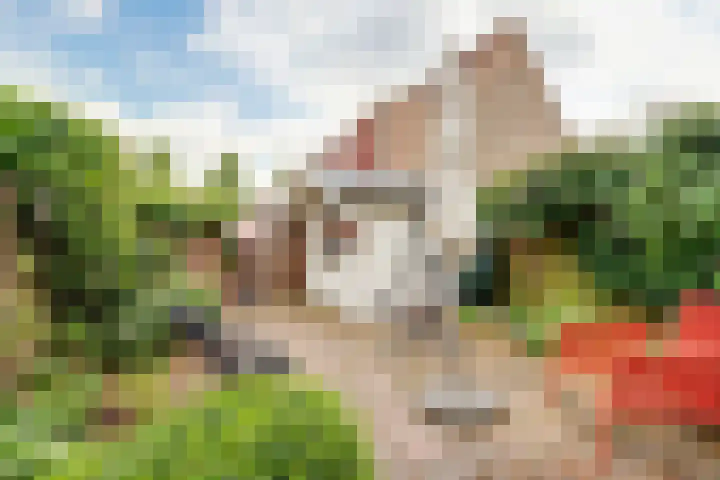Albergerbos 120 Hoofddorp thumbnail 34