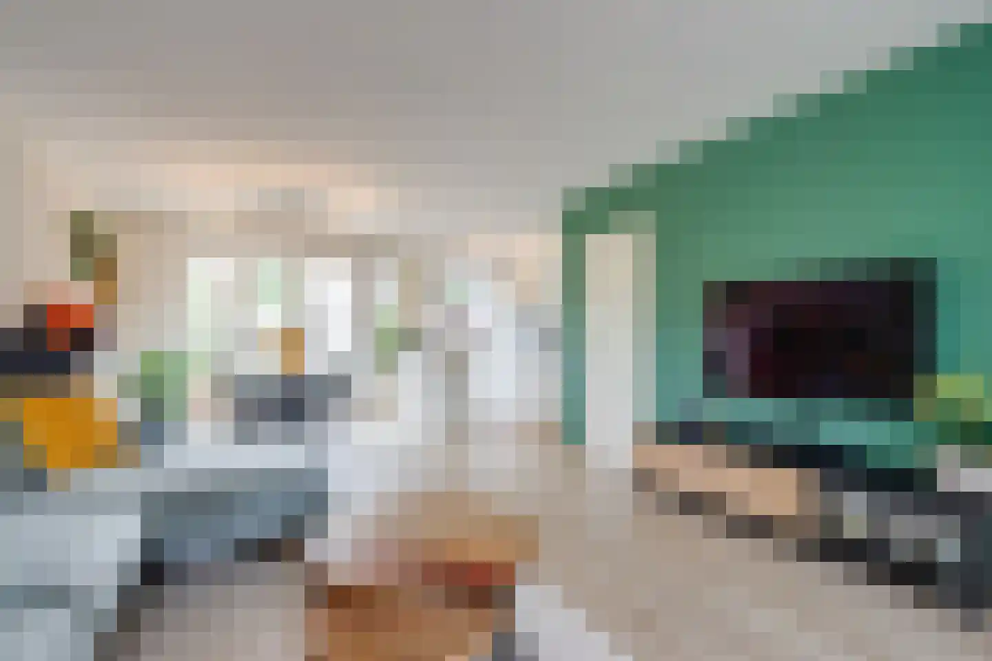 Albergerbos 120 Hoofddorp thumbnail 6