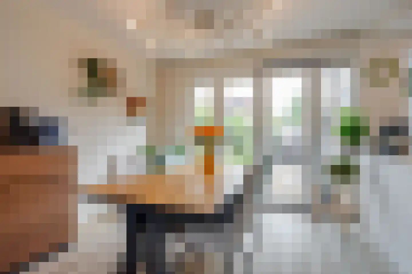 Albergerbos 120 Hoofddorp thumbnail 8
