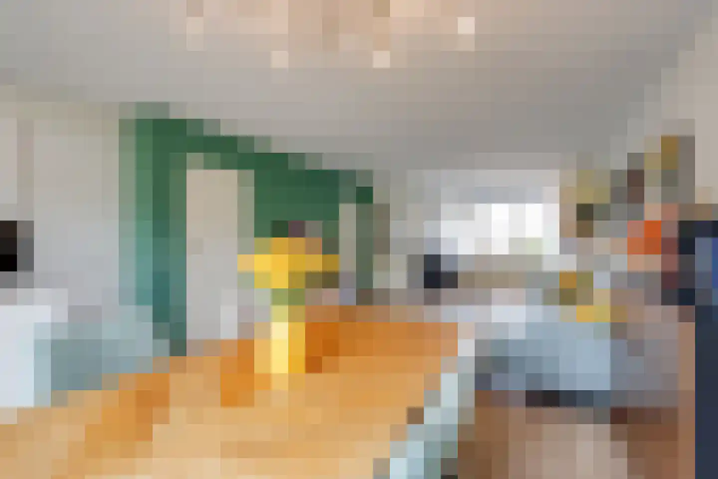 Albergerbos 120 Hoofddorp thumbnail 9