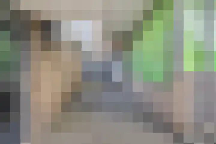 Alberickstraat 27 Venlo thumbnail 24