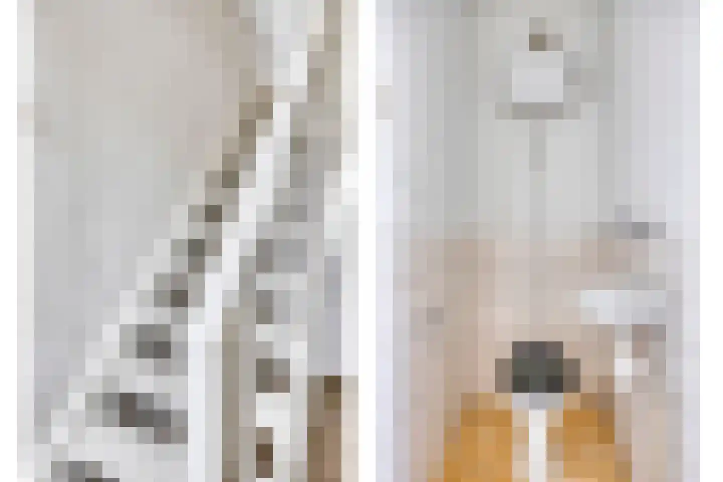 Alberickstraat 41 Venlo thumbnail 14