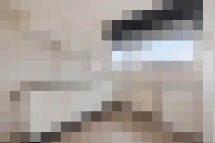 Alberickstraat 47 Venlo thumbnail 6
