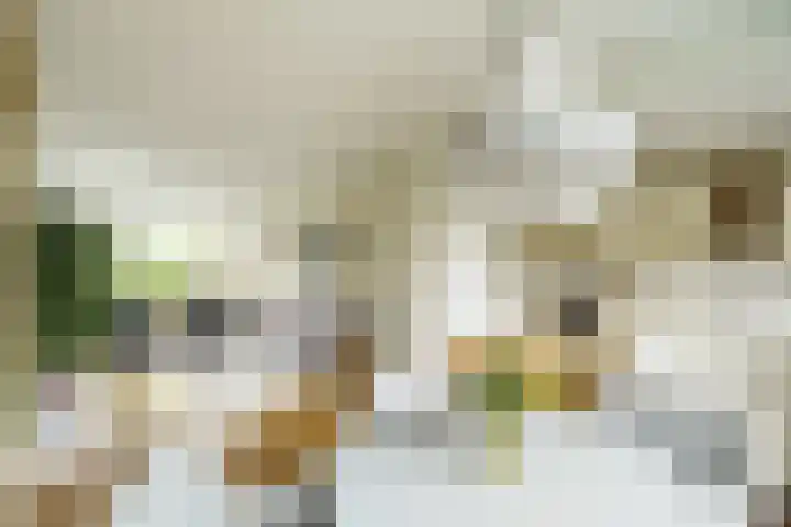 Alberikpad 17 Amersfoort thumbnail 10