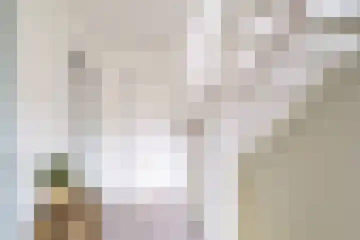 Alberikpad 17 Amersfoort thumbnail 24