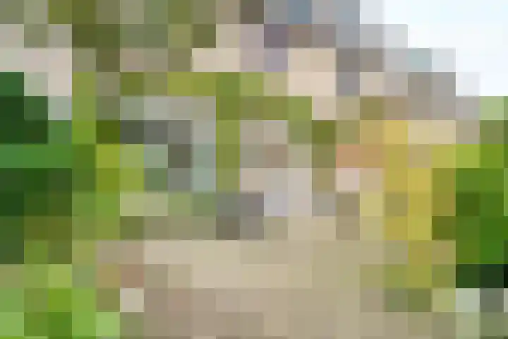 Alberikpad 17 Amersfoort thumbnail 30