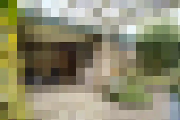 Alberikpad 17 Amersfoort thumbnail 32