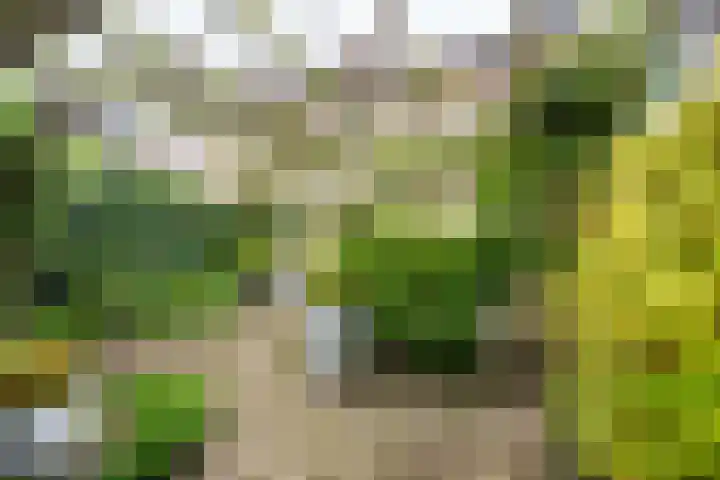 Alberikpad 17 Amersfoort thumbnail 33