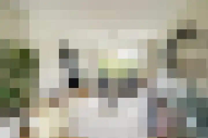 Alberikpad 17 Amersfoort thumbnail 6