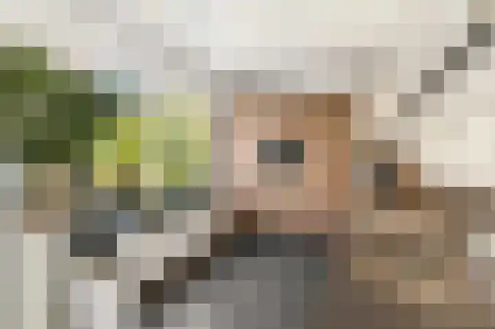 Albers Pistoriusstraat 3 Aarle-Rixtel thumbnail 10