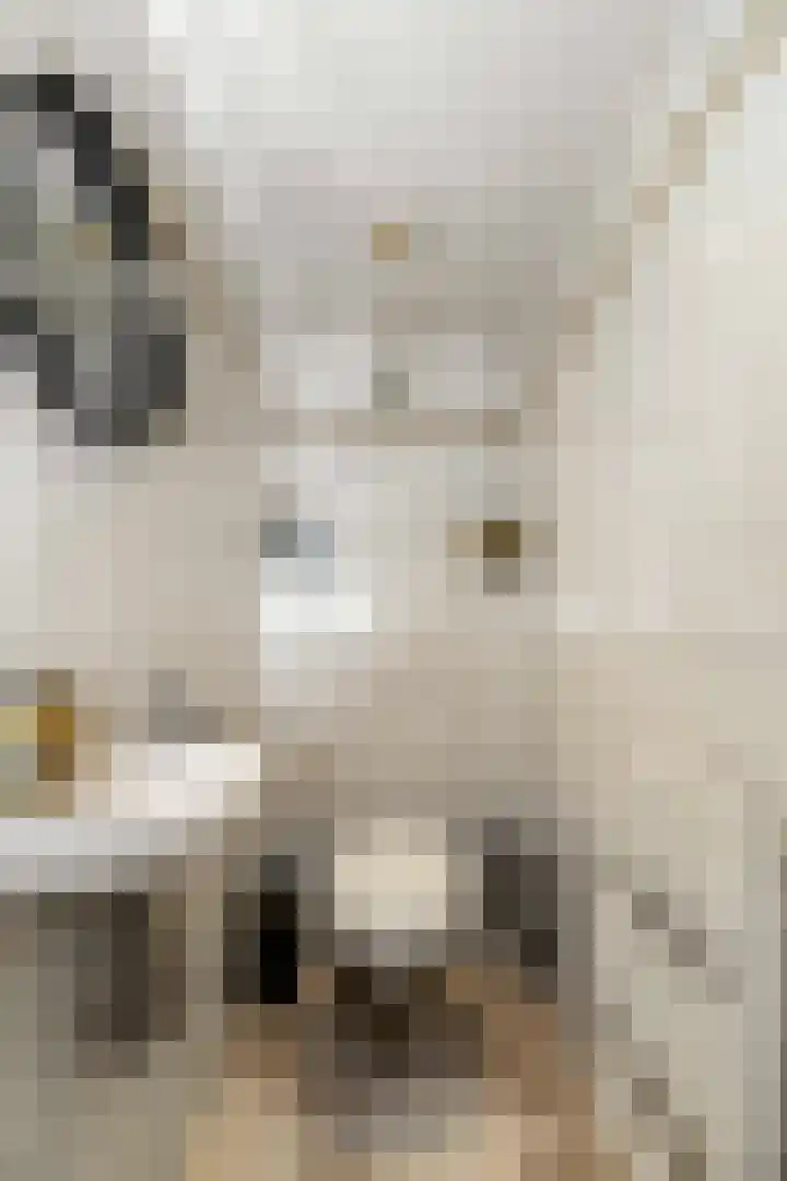 Albers Pistoriusstraat 3 Aarle-Rixtel thumbnail 13