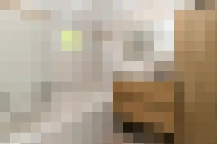 Albers Pistoriusstraat 3 Aarle-Rixtel thumbnail 15