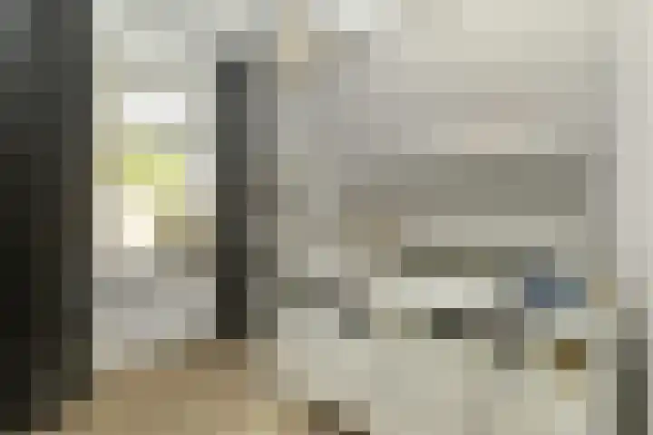 Albers Pistoriusstraat 3 Aarle-Rixtel thumbnail 18