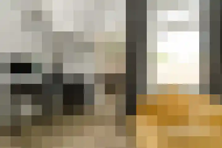 Albers Pistoriusstraat 3 Aarle-Rixtel thumbnail 19