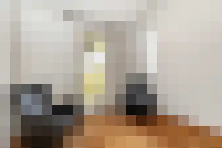 Albers Pistoriusstraat 3 Aarle-Rixtel thumbnail 20