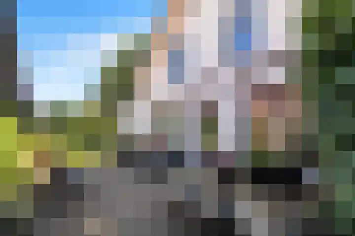 Albers Pistoriusstraat 3 Aarle-Rixtel thumbnail 21