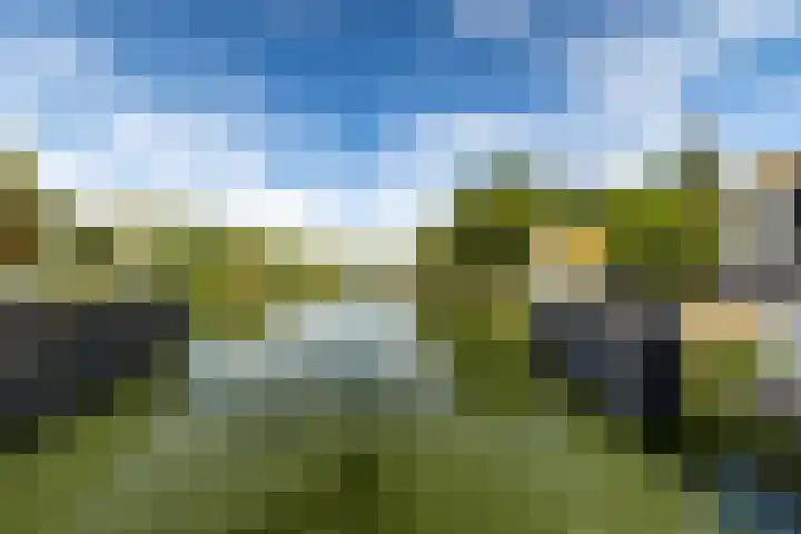 Albers Pistoriusstraat 3 Aarle-Rixtel thumbnail 31