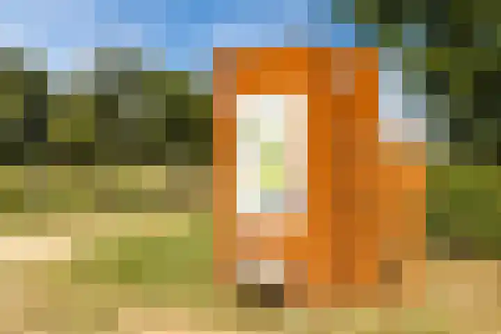 Albers Pistoriusstraat 3 Aarle-Rixtel thumbnail 32