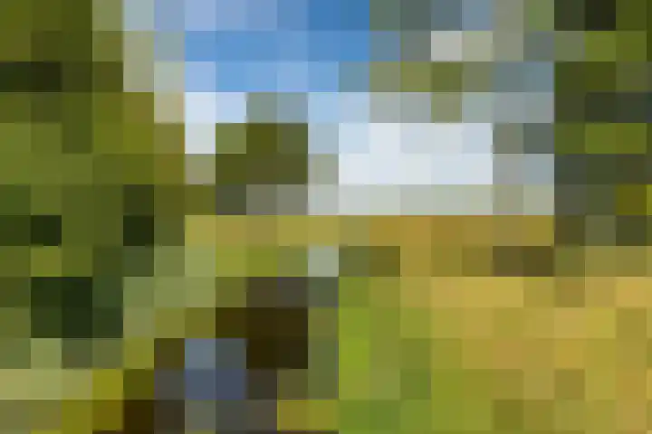 Albers Pistoriusstraat 3 Aarle-Rixtel thumbnail 33