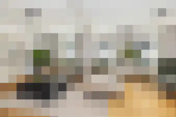 Albers Pistoriusstraat 3 Aarle-Rixtel thumbnail 4