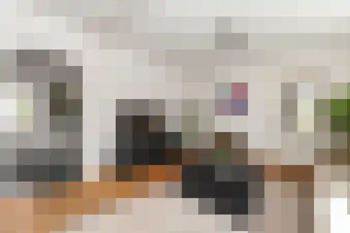 Albers Pistoriusstraat 3 Aarle-Rixtel thumbnail 5