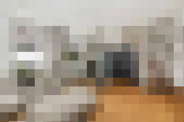 Albers Pistoriusstraat 3 Aarle-Rixtel thumbnail 6