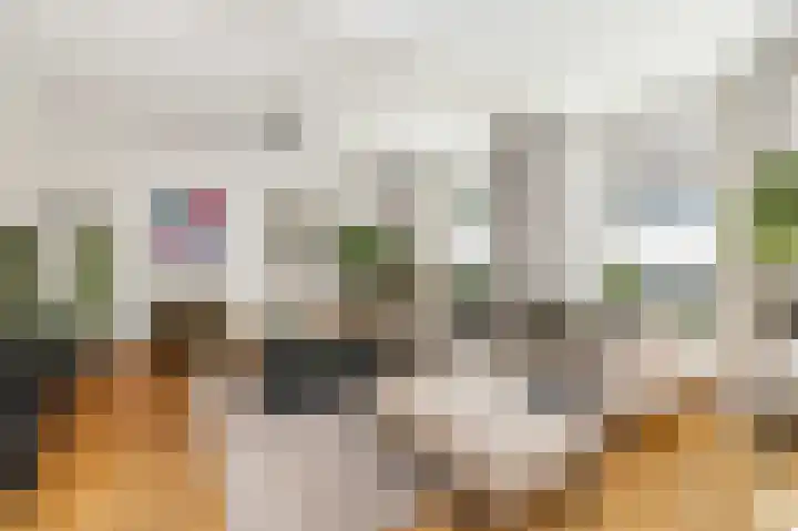 Albers Pistoriusstraat 3 Aarle-Rixtel thumbnail 7