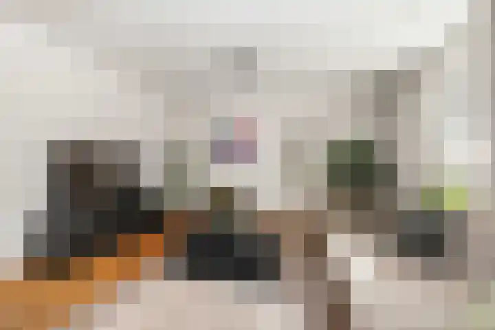 Albers Pistoriusstraat 3 Aarle-Rixtel thumbnail 8