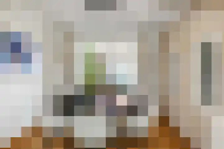 Albers Pistoriusstraat 3 Aarle-Rixtel thumbnail 9