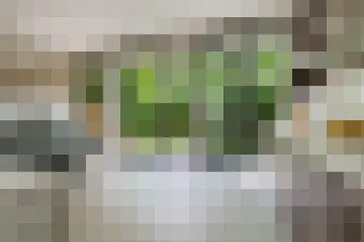 Albers Pistoriusweg 15 b Houten thumbnail 11