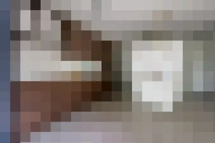 Albers Pistoriusweg 15 b Houten thumbnail 12