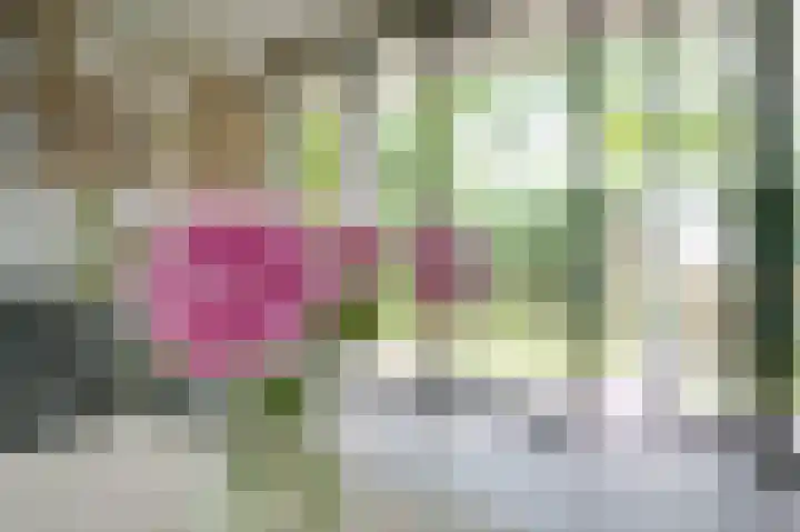 Albers Pistoriusweg 15 b Houten thumbnail 15