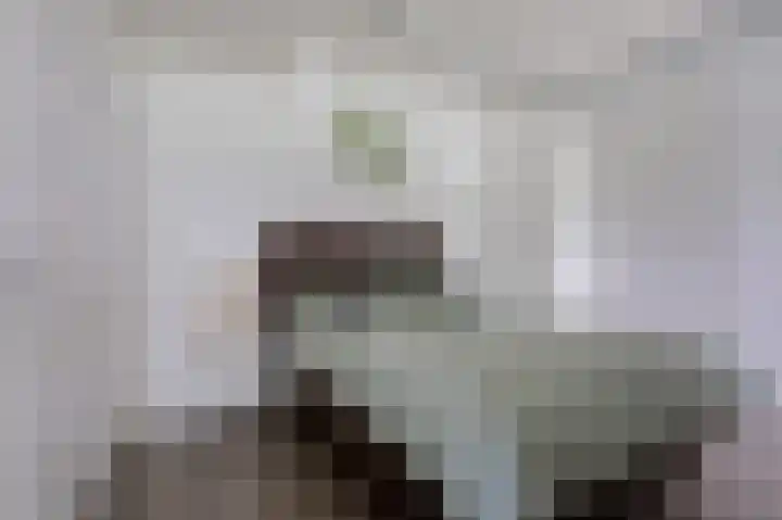 Albers Pistoriusweg 15 b Houten thumbnail 16