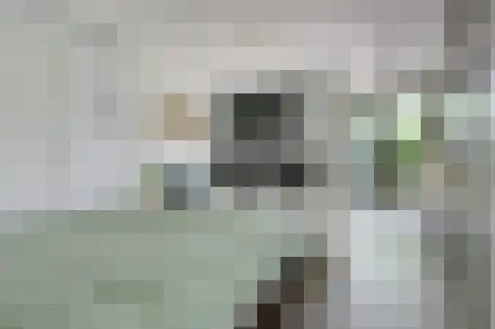 Albers Pistoriusweg 15 b Houten thumbnail 17