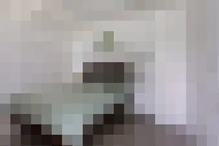 Albers Pistoriusweg 15 b Houten thumbnail 18