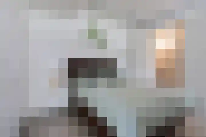 Albers Pistoriusweg 15 b Houten thumbnail 20