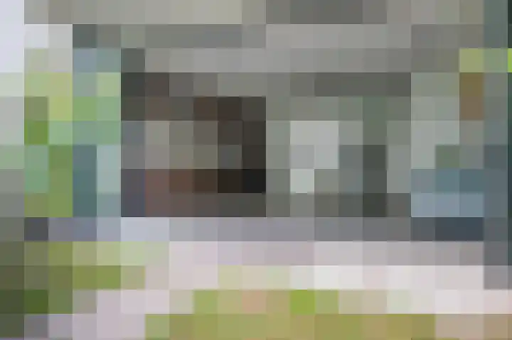 Albers Pistoriusweg 15 b Houten thumbnail 23