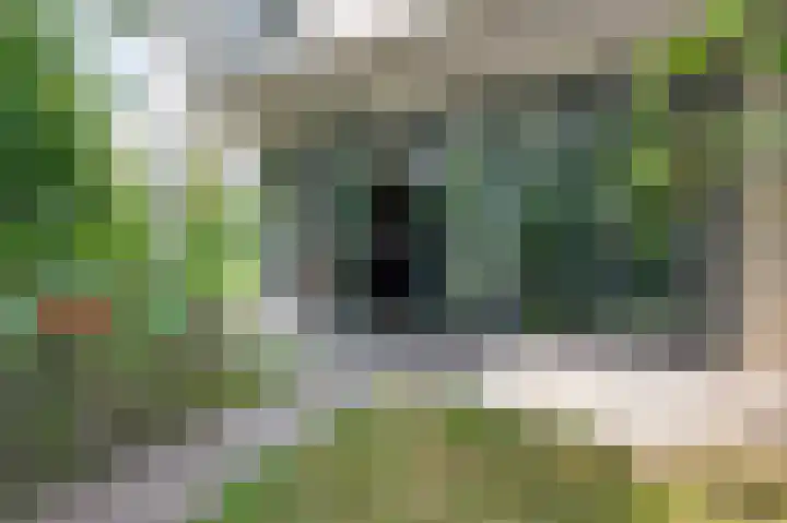 Albers Pistoriusweg 15 b Houten thumbnail 24
