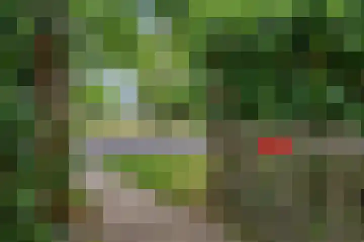 Albers Pistoriusweg 15 b Houten thumbnail 25