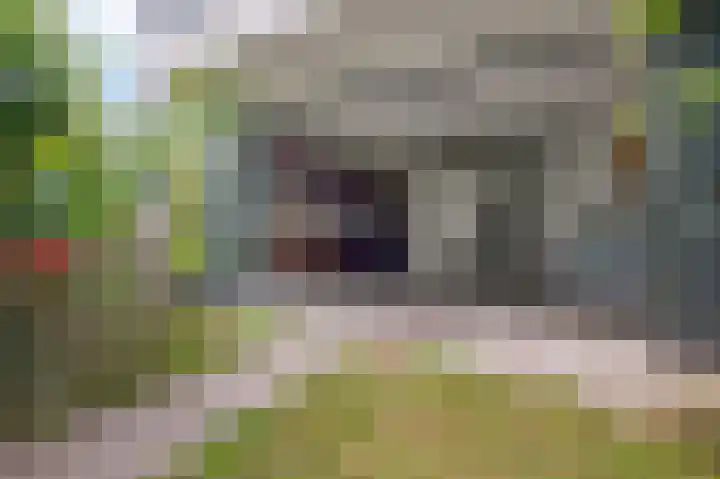 Albers Pistoriusweg 15 b Houten thumbnail 5