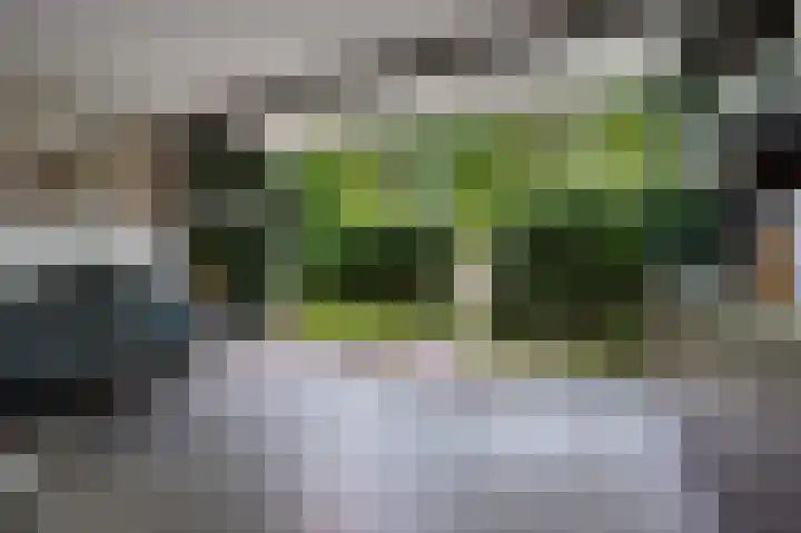 Albers Pistoriusweg 15 b Houten thumbnail 6
