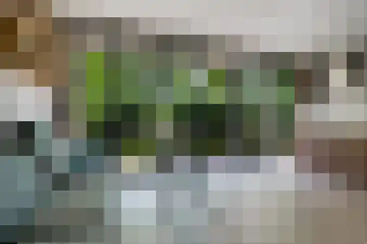 Albers Pistoriusweg 15 b Houten thumbnail 9