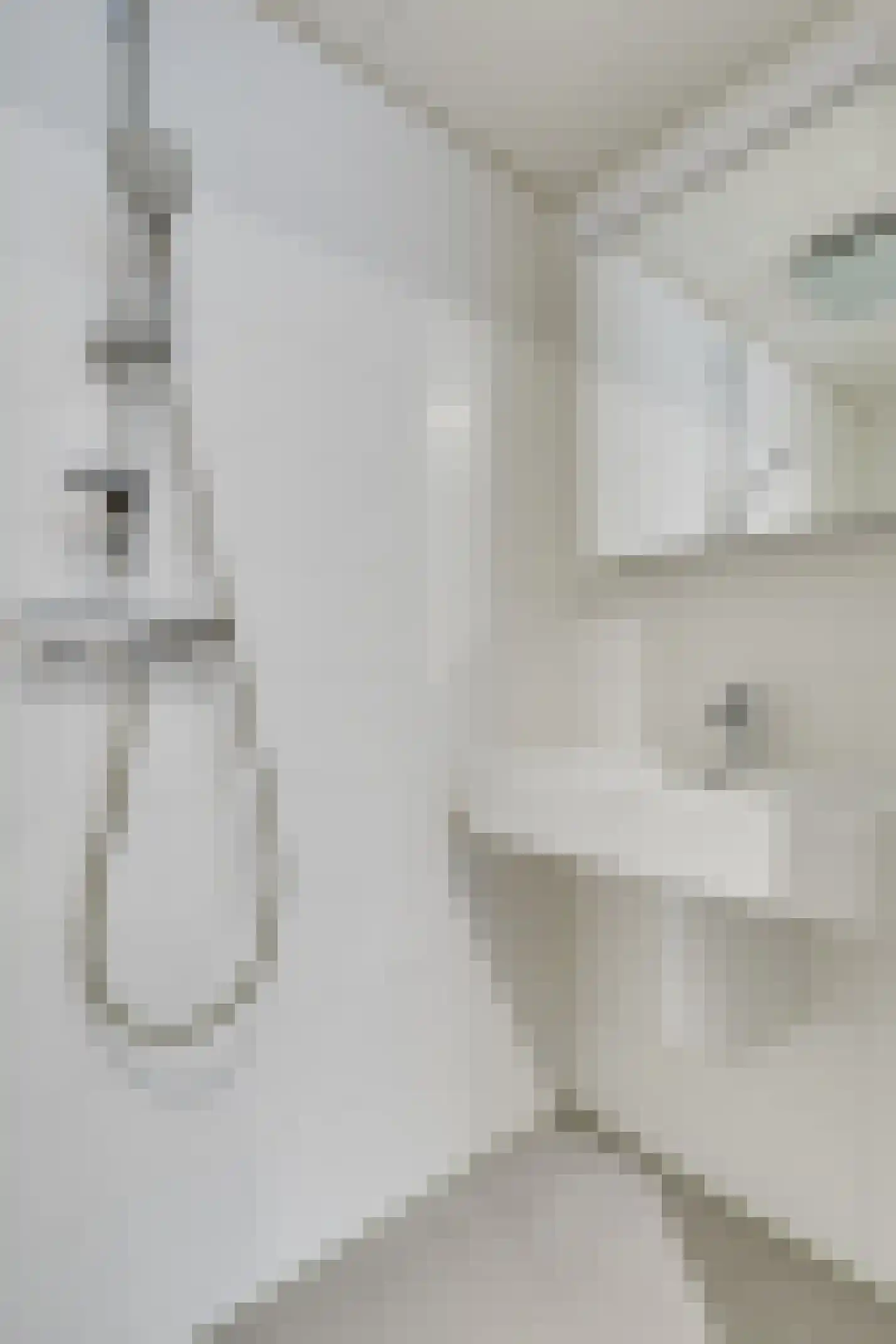 Albers Pistoriusweg 19 a Houten thumbnail 20