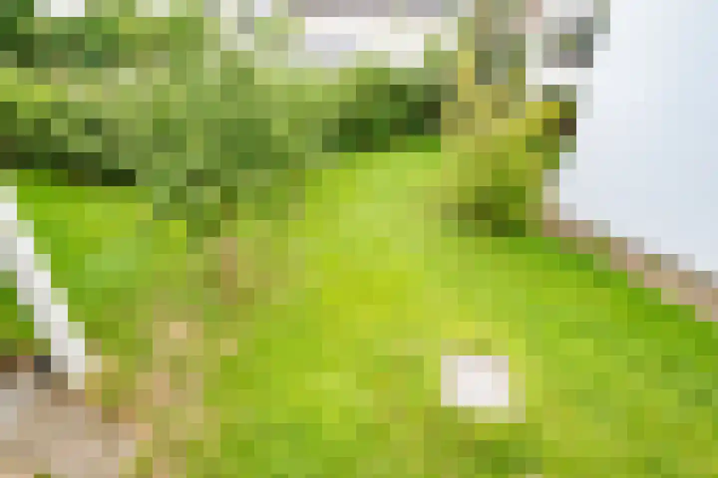Albers Pistoriusweg 27 c Houten thumbnail 28